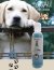 SHAMPOO LIQUIDO PARA PERRITOSGUAU/ 250ml